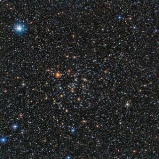 11809713 348208862016442 230745553 n